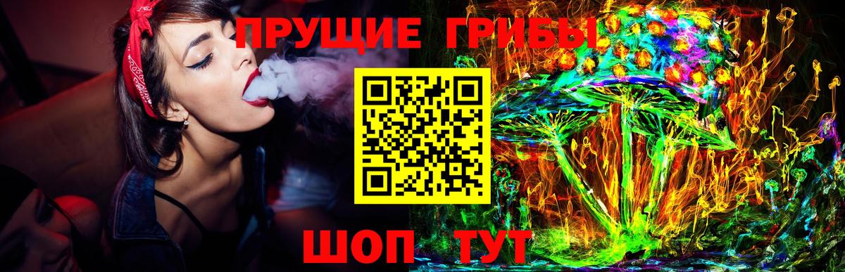 Псилоцибиновые грибы Psilocybe Волгоград